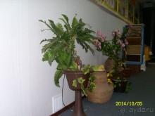 Экскурсионная пасека " Пчелиная Усадьба"