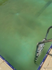 Вся правда об отеле Swiss inn dream taba resort 5*