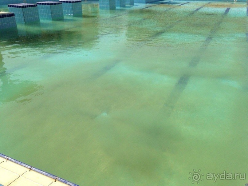 Вся правда об отеле Swiss inn dream taba resort 5*