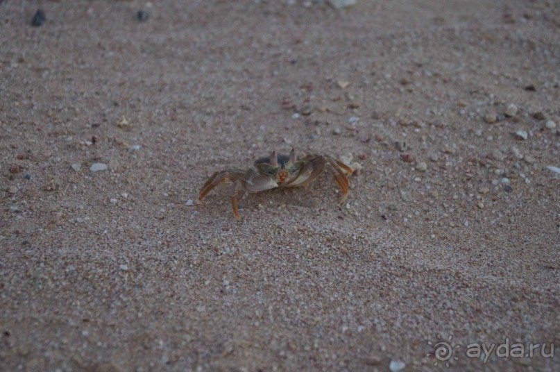 отель муниципальный, то 4* нормально. цена соответствует качеству