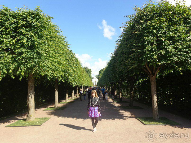 Санкт-Петербург гостиница "Евразия"