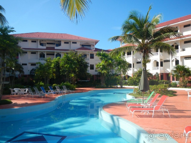 По-азиатски, но неплохо. Лучше аналогов в Гоа