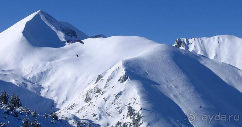 фото Predela (Предела)