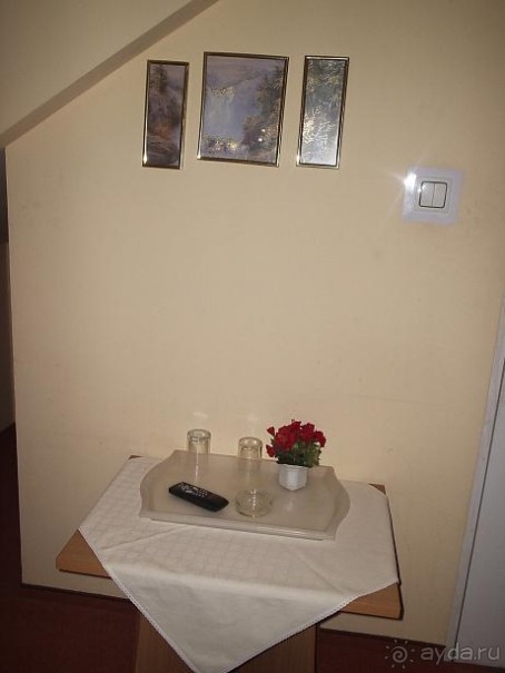 Хорош на одну ночь