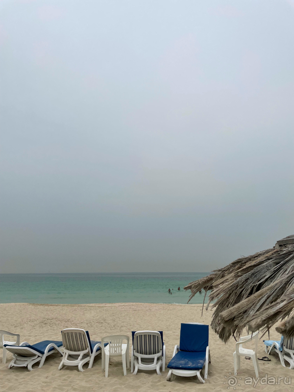 Вкусное питание, несколько бассейнов и бесплатные поездки в Дубай