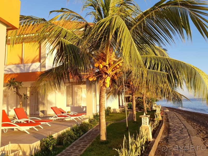 фото Bondalem Beach Club