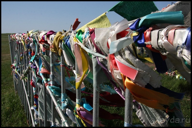 Майские степи 2010. Экспедиция в Калмыкию. ч.5 Калмыцкая степь.