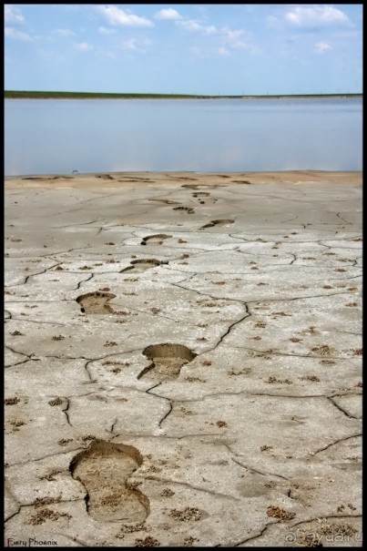 Майские степи 2010. Экспедиция в Калмыкию. ч.5 Калмыцкая степь.