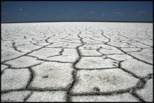 Майские степи 2010. Экспедиция в Калмыкию. ч.5 Калмыцкая степь.