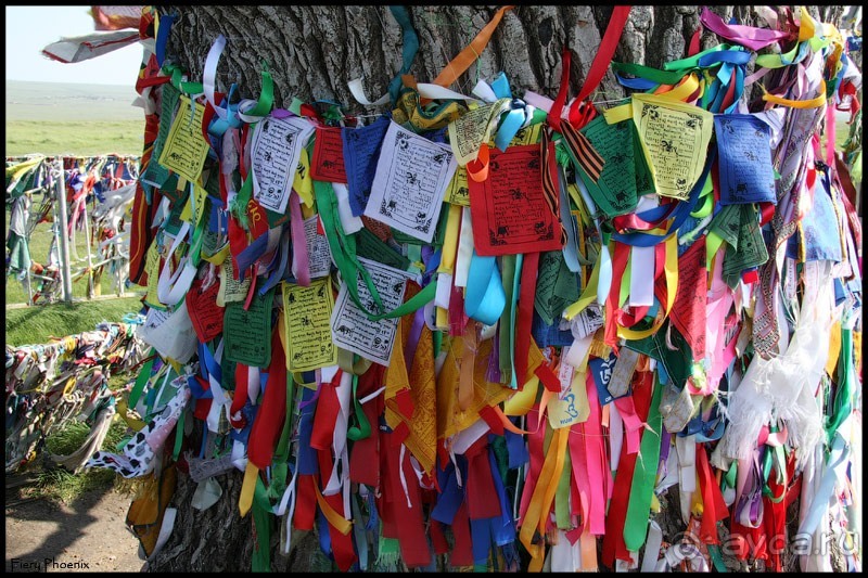 Майские степи 2010. Экспедиция в Калмыкию. ч.5 Калмыцкая степь.