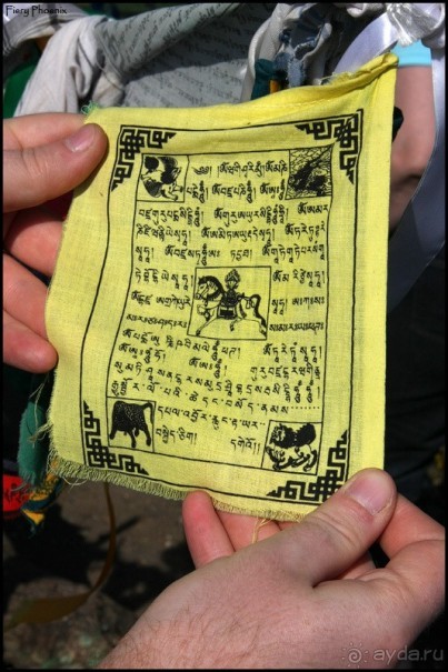 Майские степи 2010. Экспедиция в Калмыкию. ч.5 Калмыцкая степь.