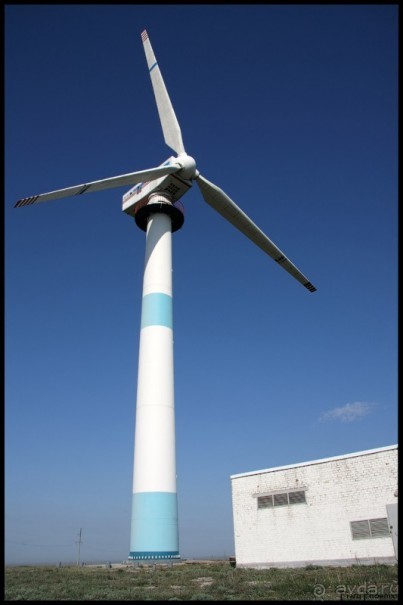 Майские степи 2010. Экспедиция в Калмыкию. ч.5 Калмыцкая степь.