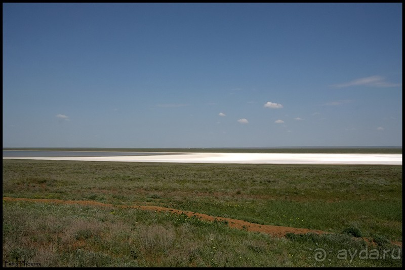 Майские степи 2010. Экспедиция в Калмыкию. ч.5 Калмыцкая степь.