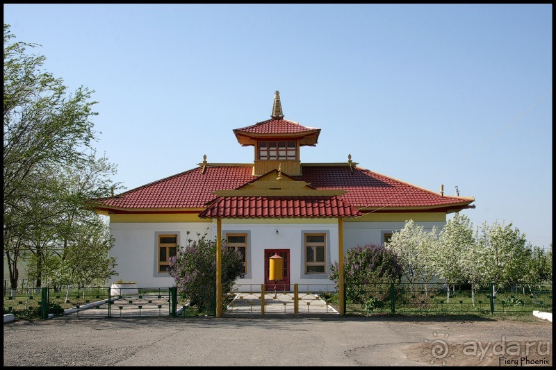 Майские степи 2010. Экспедиция в Калмыкию. ч.5 Калмыцкая степь.