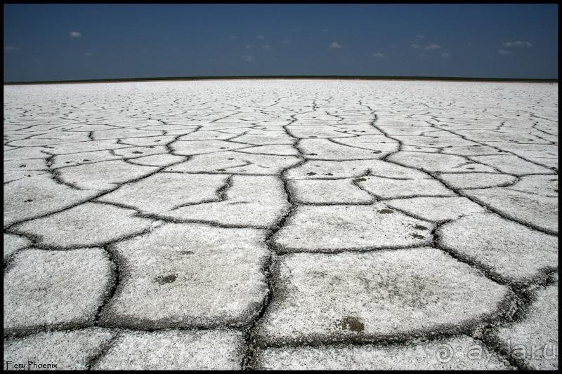 Майские степи 2010. Экспедиция в Калмыкию. ч.5 Калмыцкая степь.
