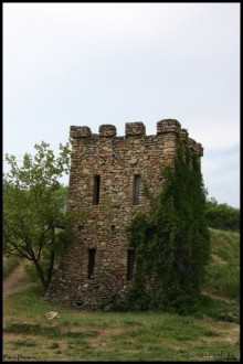 Майские степи 2010. Экспедиция в Калмыкию. ч.7 Танаис