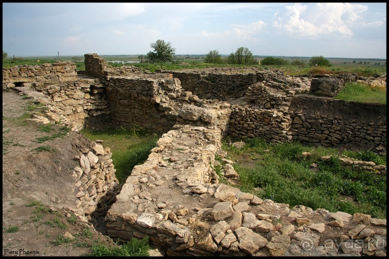 Майские степи 2010. Экспедиция в Калмыкию. ч.7 Танаис