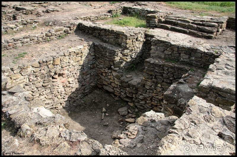 Майские степи 2010. Экспедиция в Калмыкию. ч.7 Танаис