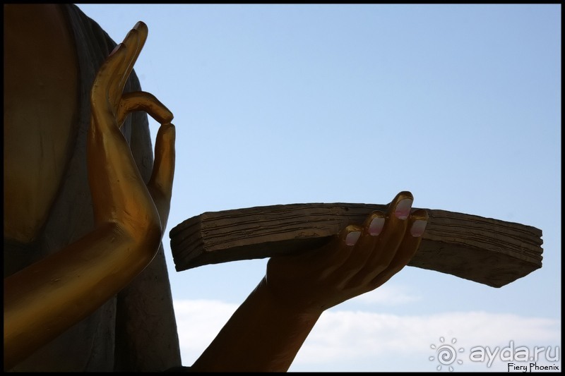 Майские степи 2010. Экспедиция в Калмыкию. ч.4 Элиста.