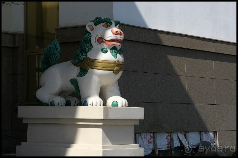 Майские степи 2010. Экспедиция в Калмыкию. ч.4 Элиста.