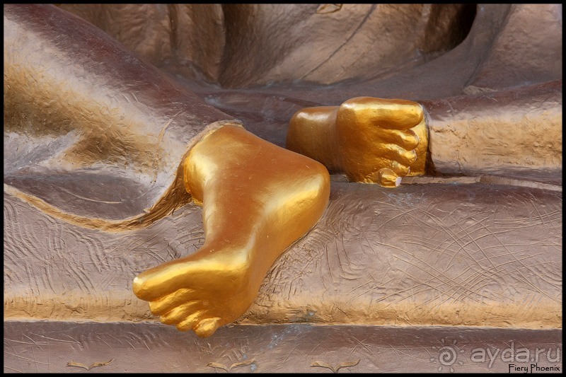 Майские степи 2010. Экспедиция в Калмыкию. ч.4 Элиста.