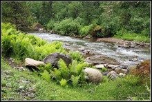 Алтай 2010: В поисках Шамбалы. Часть 9.День 12. Озеро Телецкое.