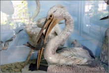 Узбекистан 2014. Непростая страна-квест. Часть 4.