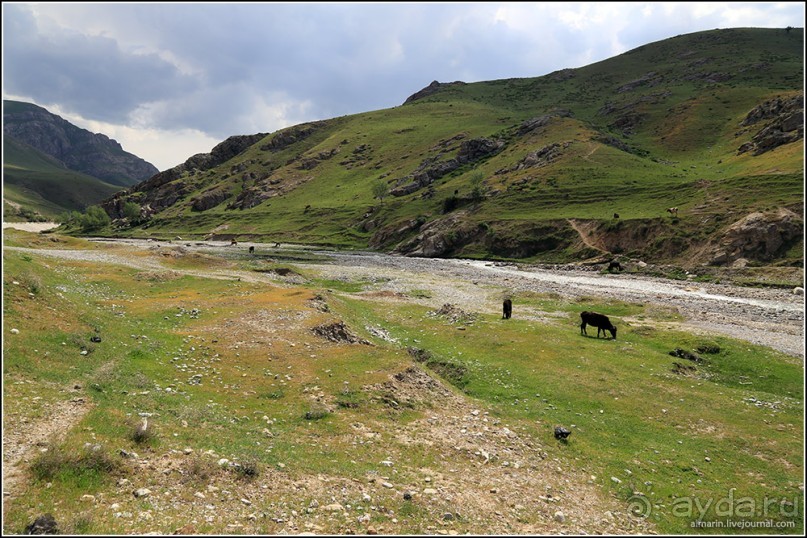 Узбекистан 2014. Непростая страна-квест. Часть 3. 2/3