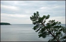Карелия 2011: Красоты Онеги