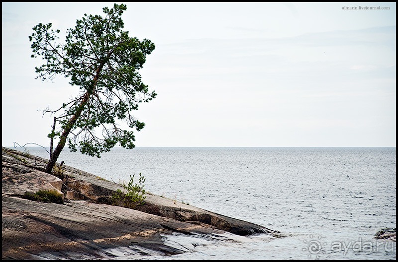 Карелия 2011: Красоты Онеги