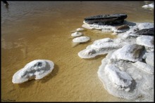 Майские степи 2010. Экспедиция в Калмыкию. ч.3 Баскунчак.