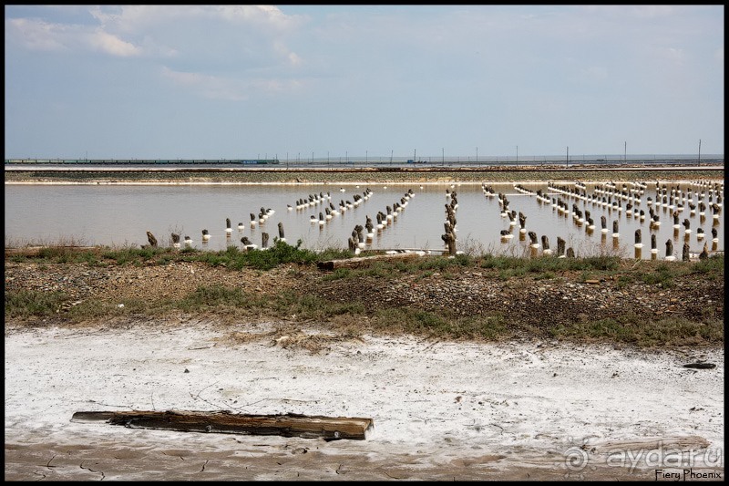 Майские степи 2010. Экспедиция в Калмыкию. ч.3 Баскунчак.