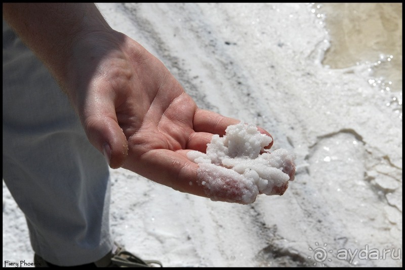 Майские степи 2010. Экспедиция в Калмыкию. ч.3 Баскунчак.