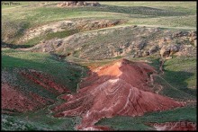 Майские степи 2010. Экспедиция в Калмыкию. ч.3 Баскунчак.