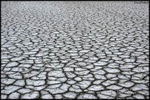 Майские степи 2010. Экспедиция в Калмыкию. ч.3 Баскунчак.