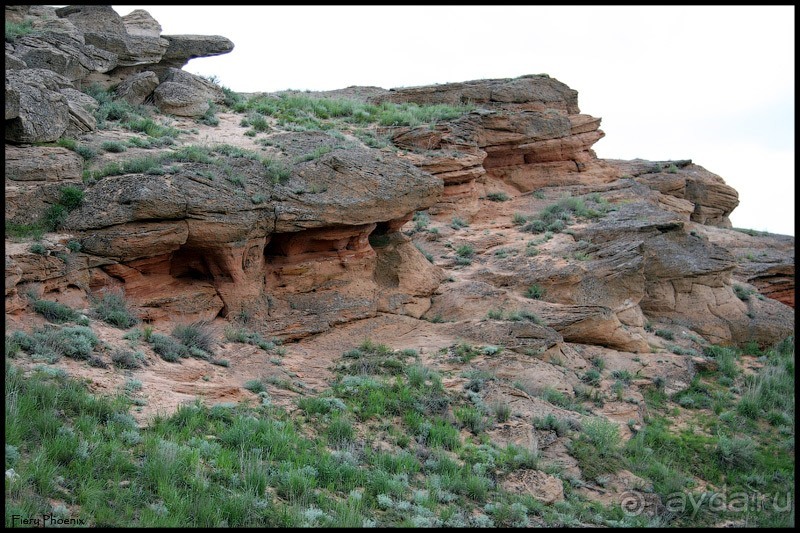 Майские степи 2010. Экспедиция в Калмыкию. ч.3 Баскунчак.