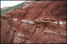 Майские степи 2010. Экспедиция в Калмыкию. ч.3 Баскунчак.