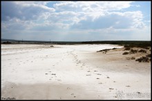 Майские степи 2010. Экспедиция в Калмыкию. ч.3 Баскунчак.