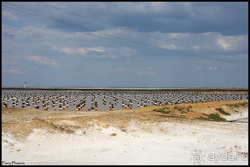 Майские степи 2010. Экспедиция в Калмыкию. ч.3 Баскунчак.