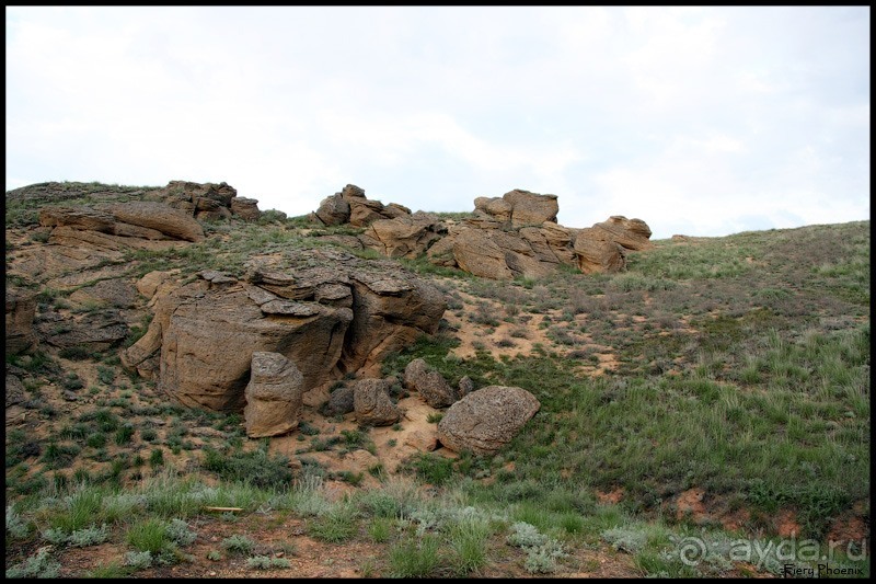 Майские степи 2010. Экспедиция в Калмыкию. ч.3 Баскунчак.