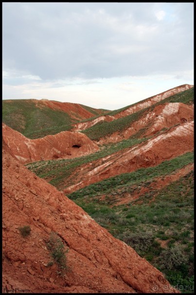 Майские степи 2010. Экспедиция в Калмыкию. ч.3 Баскунчак.