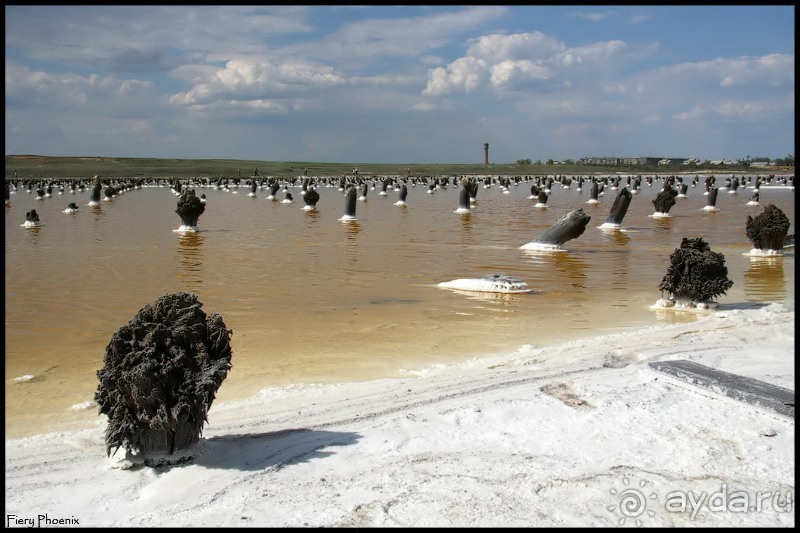 Майские степи 2010. Экспедиция в Калмыкию. ч.3 Баскунчак.