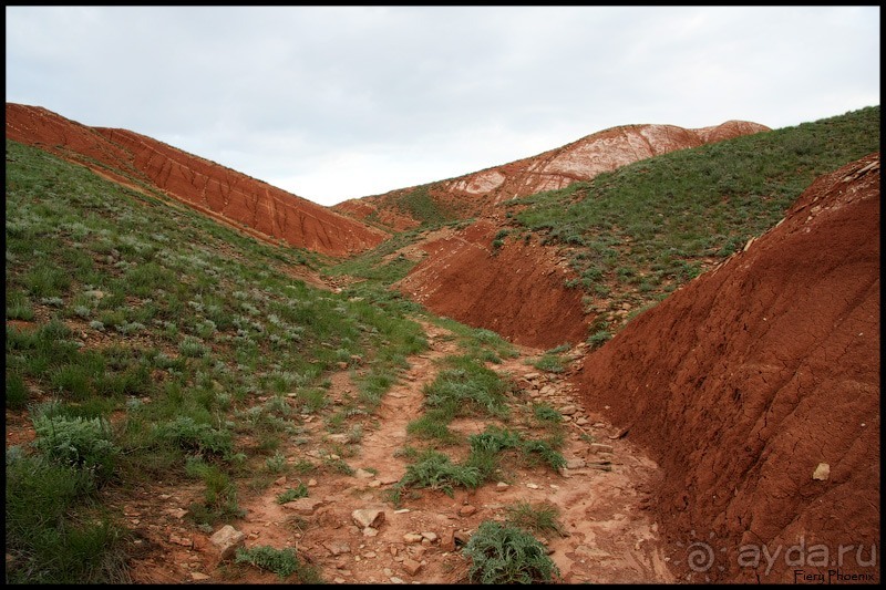 Майские степи 2010. Экспедиция в Калмыкию. ч.3 Баскунчак.