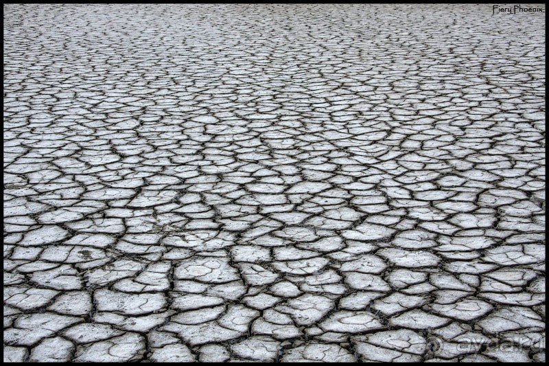 Майские степи 2010. Экспедиция в Калмыкию. ч.3 Баскунчак.
