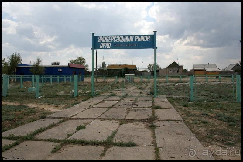 Майские степи 2010. Экспедиция в Калмыкию. ч.3 Баскунчак.