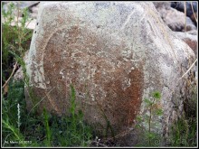 Алтай 2010: В поисках Шамбалы. Часть 6.День 9. Петроглифы.