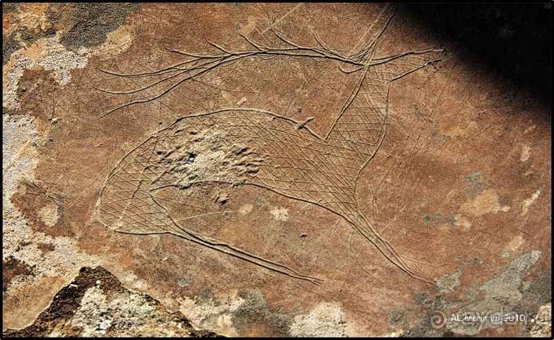 Алтай 2010: В поисках Шамбалы. Часть 6.День 9. Петроглифы.