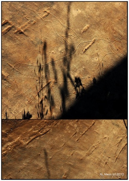 Алтай 2010: В поисках Шамбалы. Часть 6.День 9. Петроглифы.