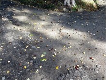 Белогорье, Киев, ЧАЭС, Припять, Одесса, Приднестровье. День 5.