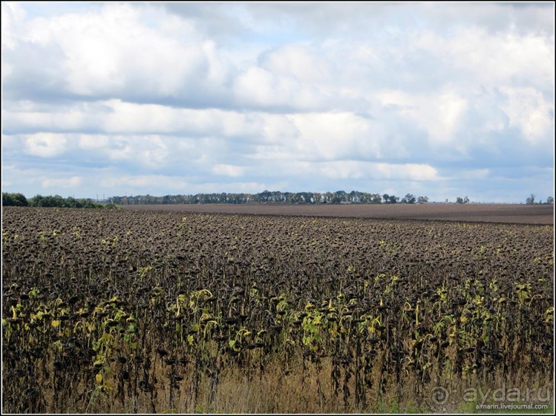 Белогорье, Киев, ЧАЭС, Припять, Одесса, Приднестровье. День 5.